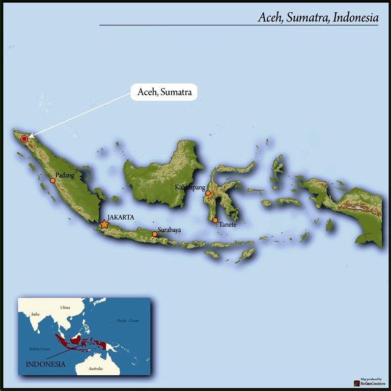 AcehSumatraIndonesia-2.jpg