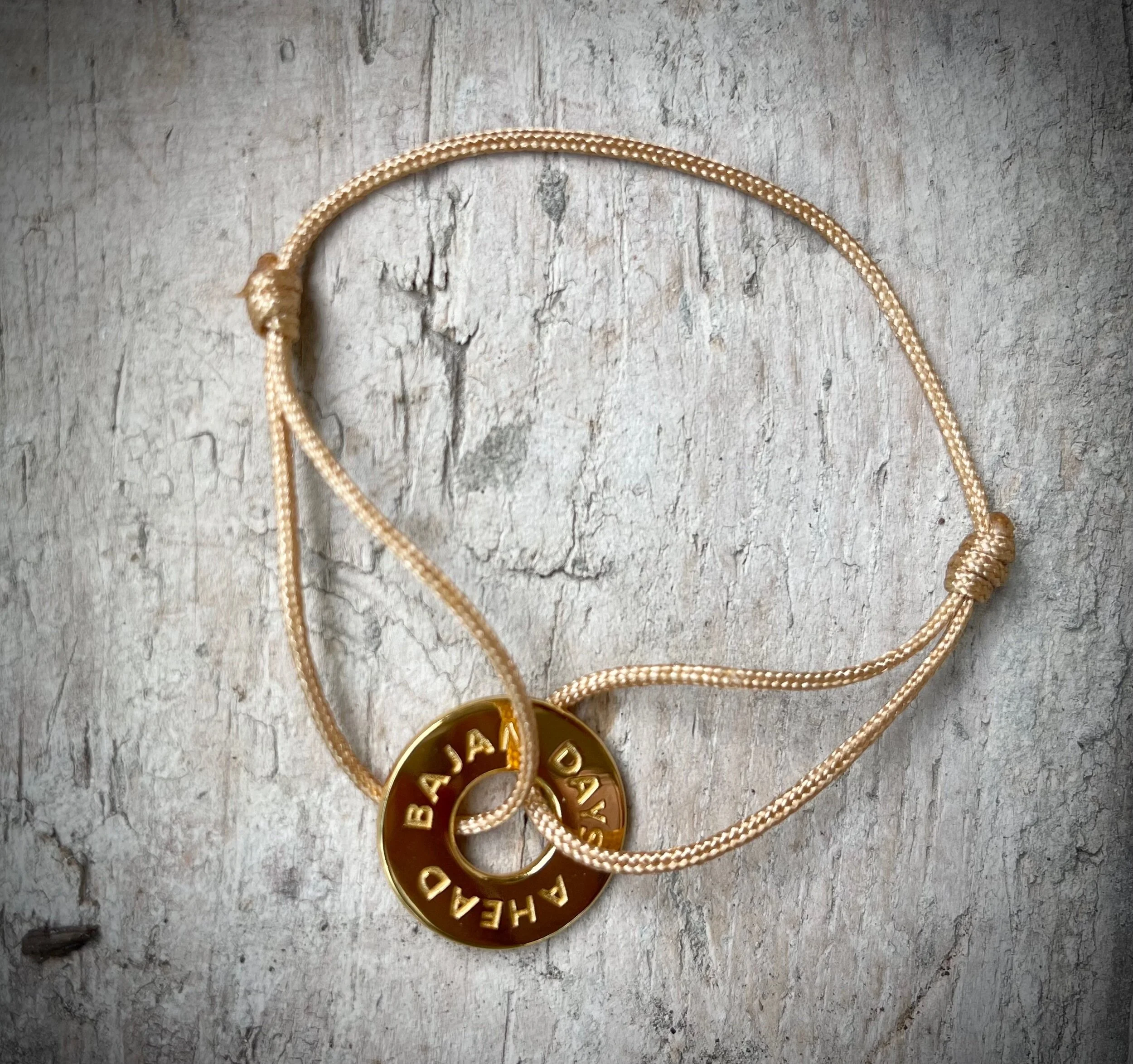 4AE7DDC1-52E4-4EFE-A9EE-86E208C7E9D5