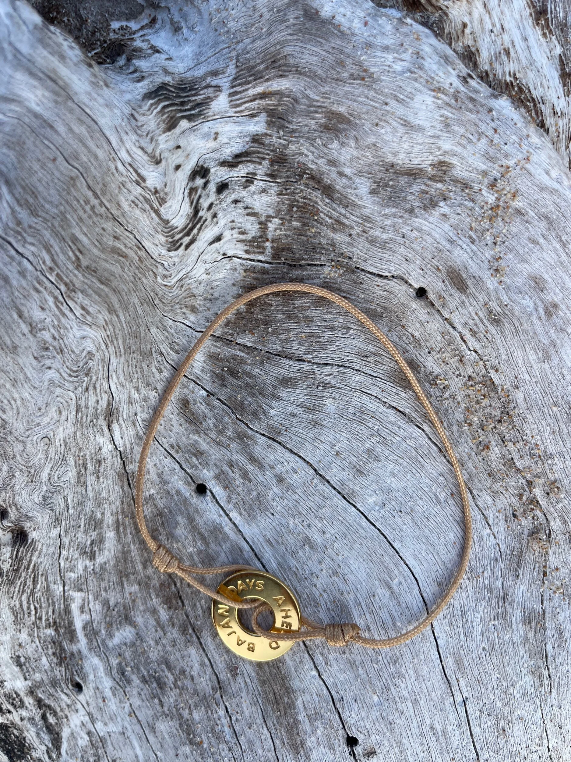 367EC865-CF77-4F8E-9E4F-310B574BC8C3