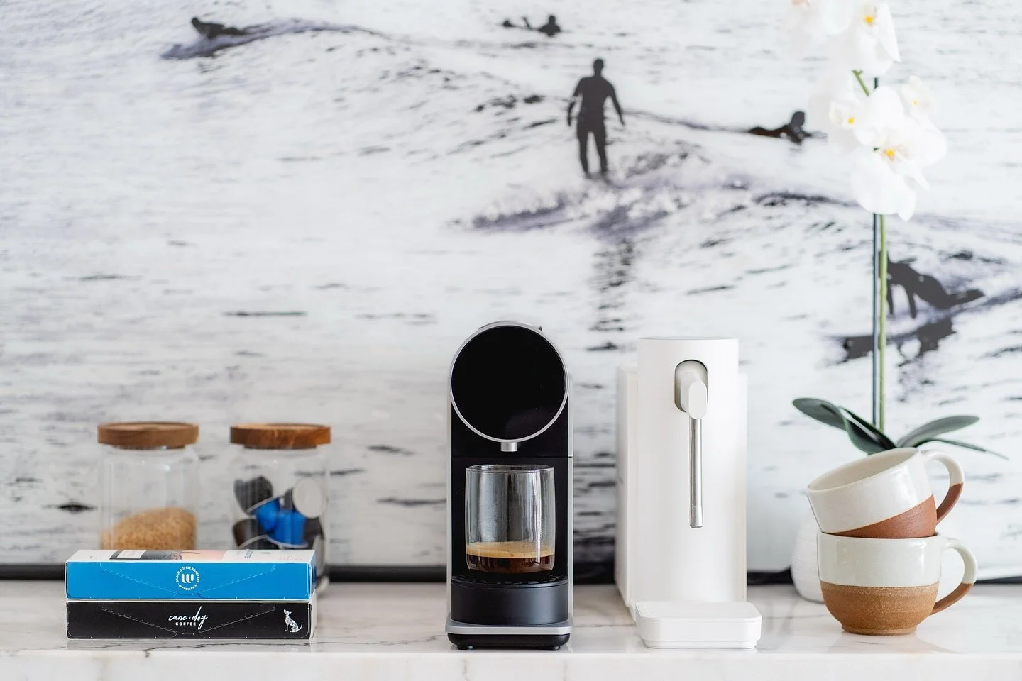 Have you tried our pods yet? Built for convenience, packed with flavour, and fully Nespresso compatible. 
Now available in two of your favourites: Soup Bowl and Cane Dog. 
Same specialty coffee, just one push away ☕️😏