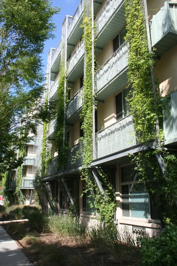 Eastern Village