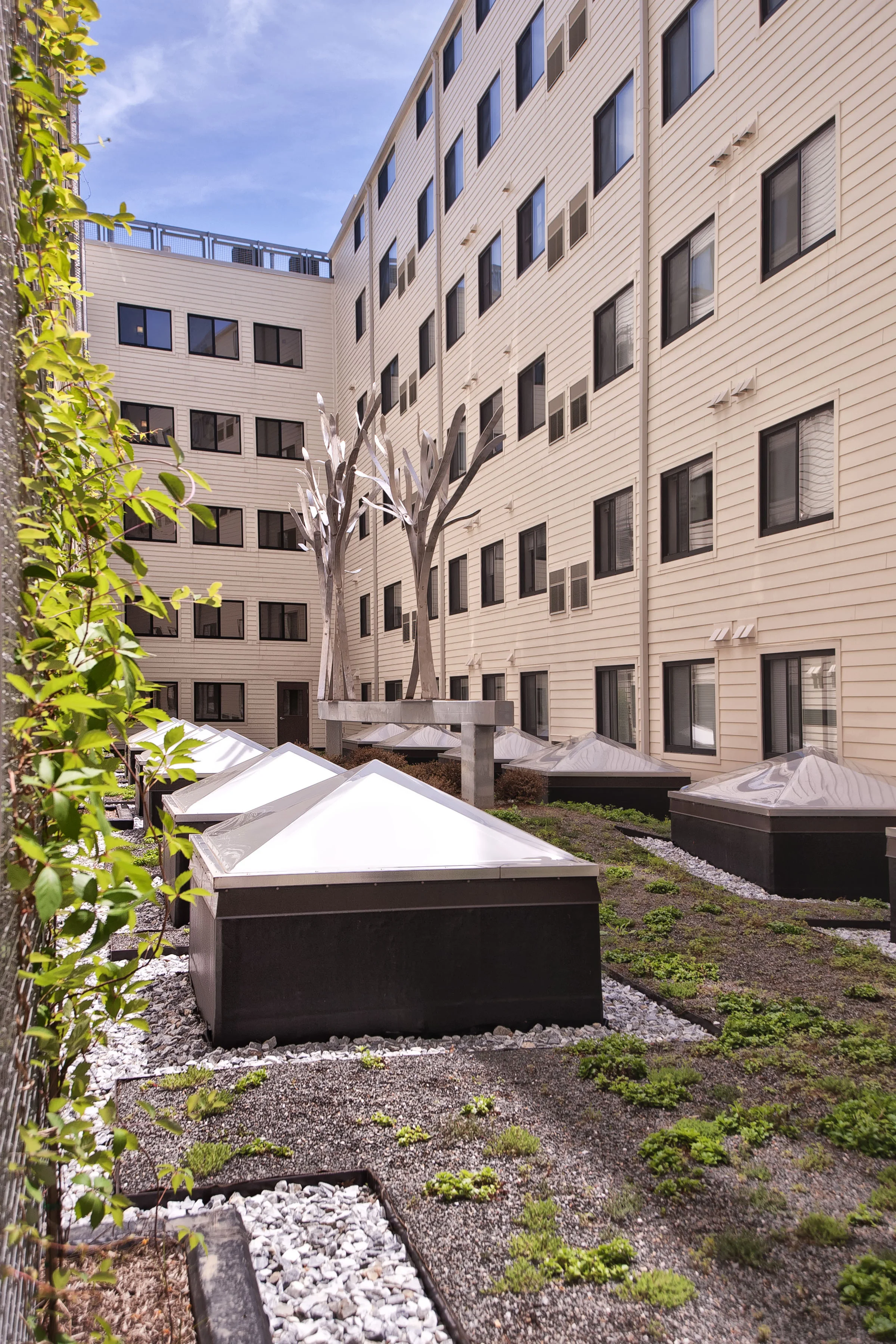 3 Tree Flats