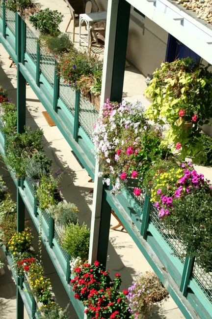 Eastern Village