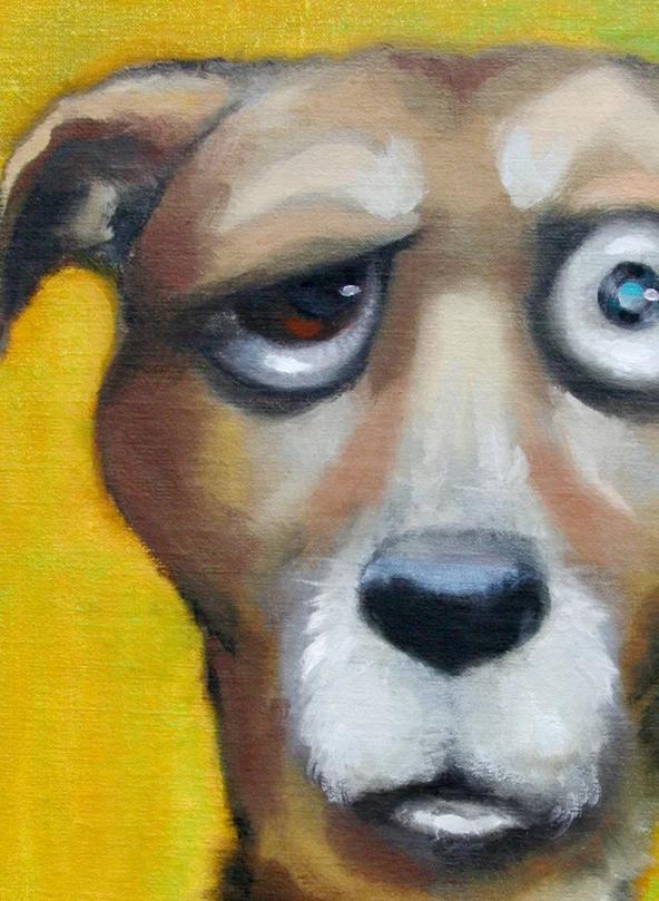 petpicasso_LG_09_jack.jpg