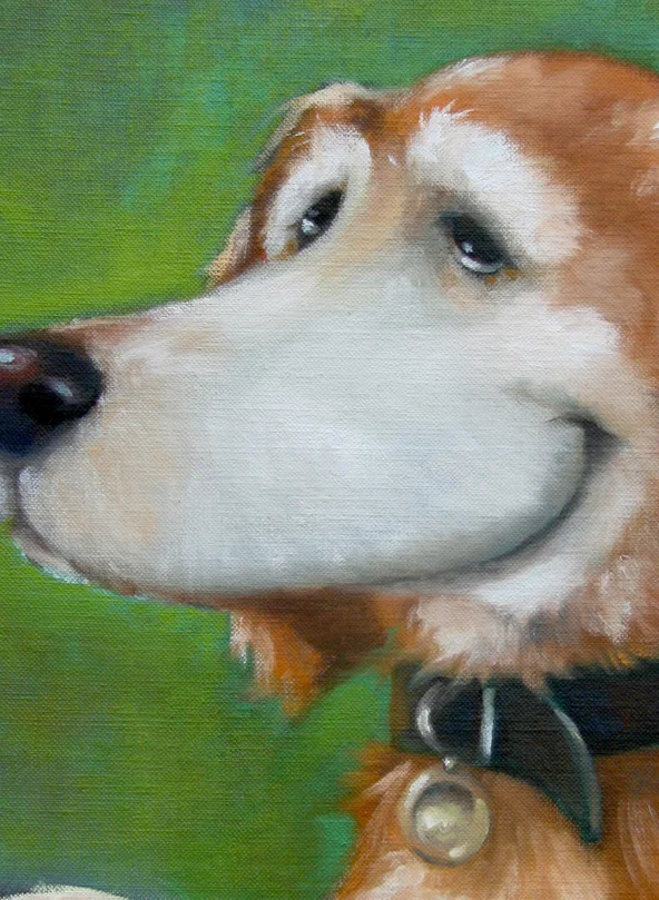 petpicasso_LG_11_mabel.jpg