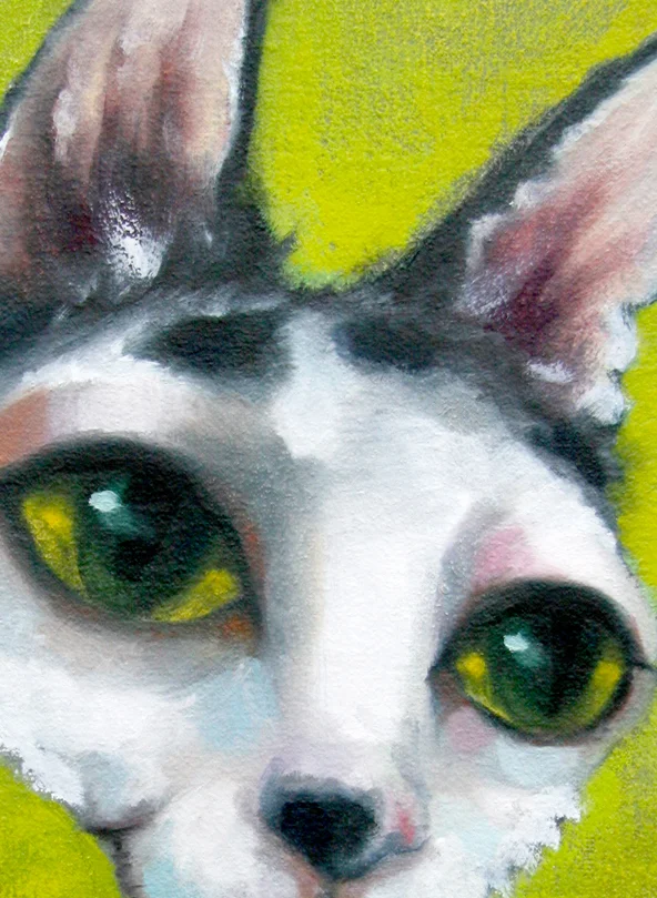 petpicasso_LG_07_curly.jpg