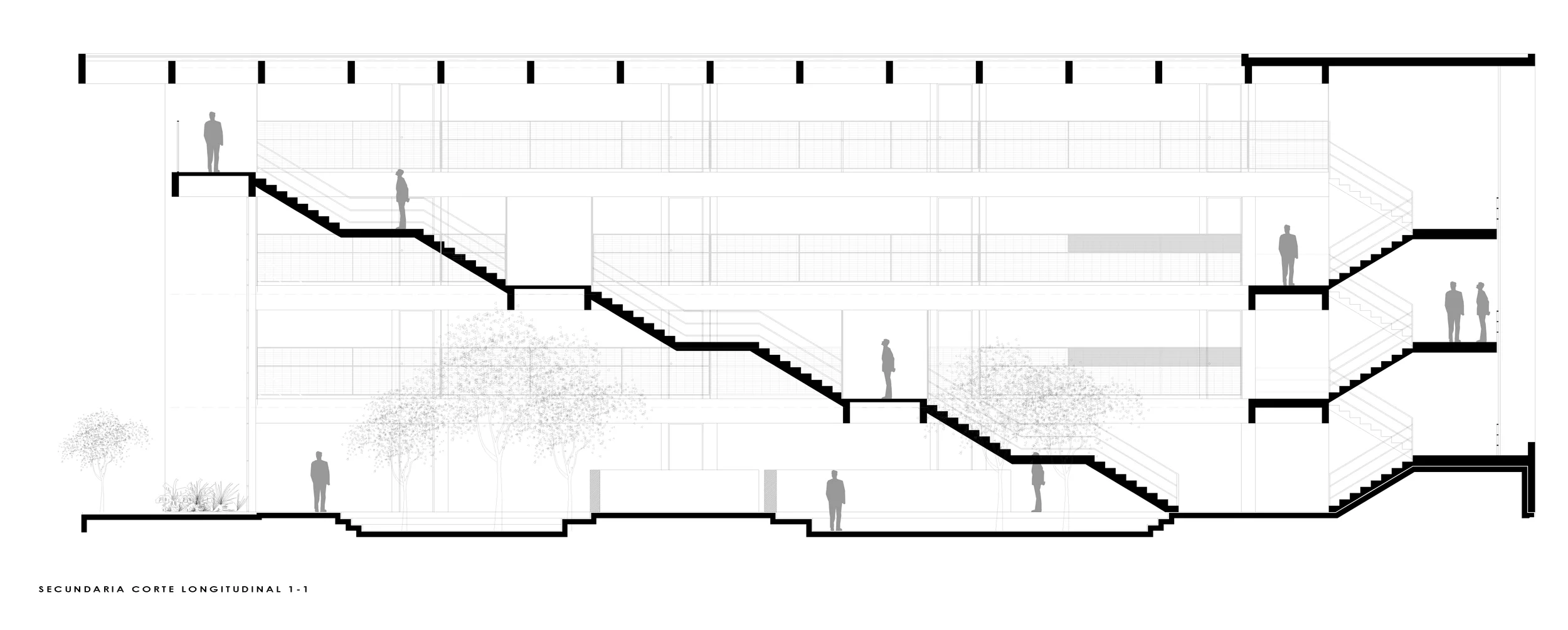 CORTE LONGITUDINAL