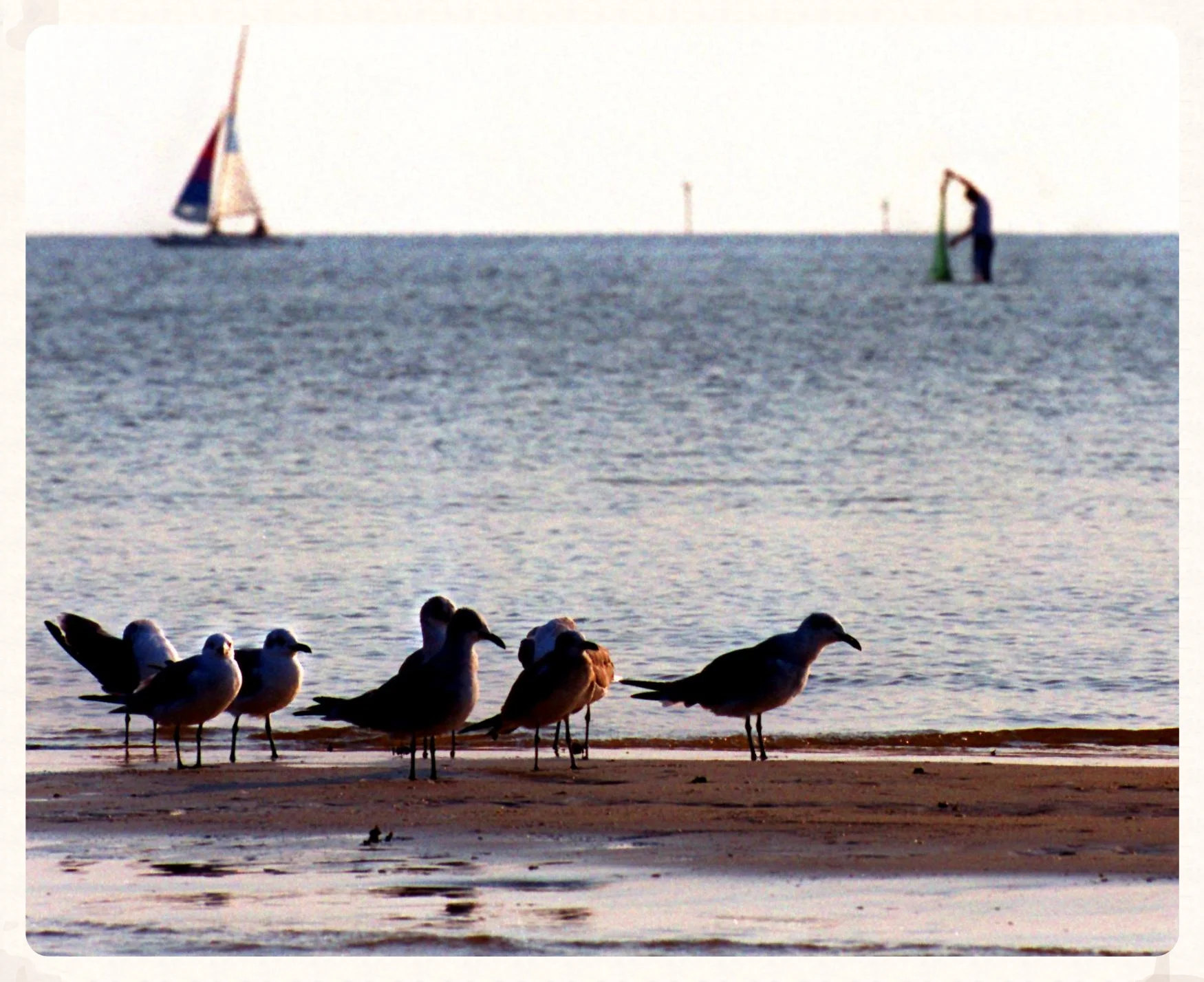  A fisherman gathers his net in the Mississippi Sound early in the morning in Gulfport, Miss. 