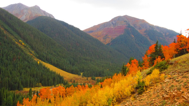 South Mineral Creek.JPG