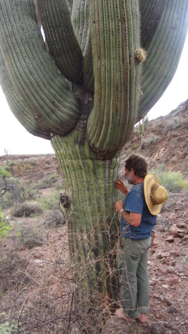 DougYSaguaro.JPG