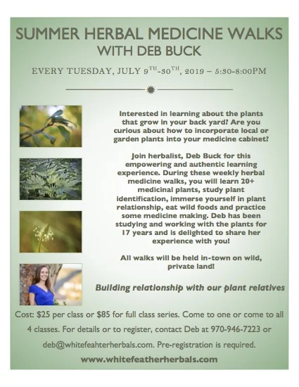 Plant Medicine Series 2019.jpg