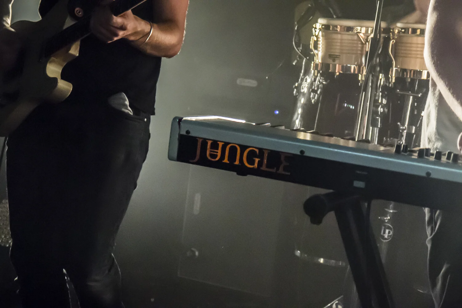 JUNGLE+KINGSTON-9.jpg