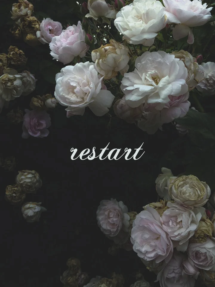 Reiniciar