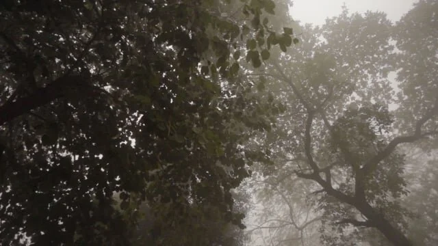 A JOURNEY THROUGH INDIA