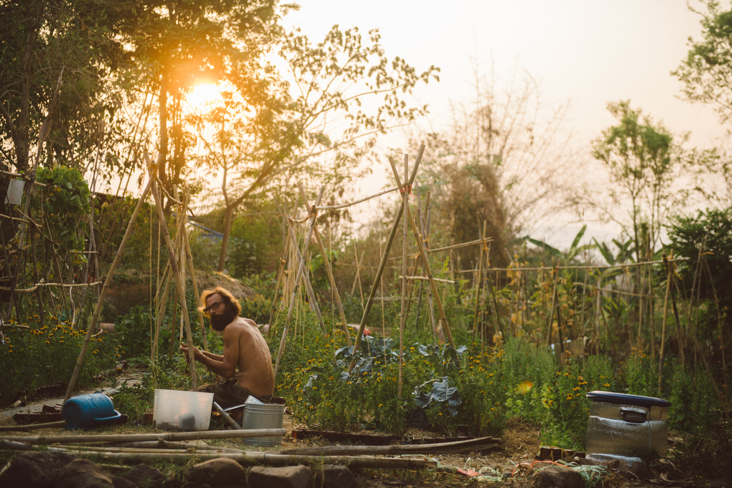 This is the revolution I can get behind. The growing, quiet revolution. One plant, one breath, one moment of patience at a time. To slow down to the speed of a plant growing. And to live and grow side by side with nature. To care for a garden is to care for yourself. To provide for others is to, in turn, provide for yourself. Give more than you take and take only what you need. Its not about you. None of this is about you. It's not about your time here. Find the peace and beauty in that. When you lower the bar of standards on what you think you deserve then you are free from a lot of unnecessary suffering. It builds something sustainable. When you use nature as a mirror you can see that we ourselves are a system just like a garden. What you feed will grow and what you ignore or actively rid yourself of will die off. The natural world creates an equality that does not discriminate in any way. A system that gives you exactly what you earned regardless of what you think you deserve. It's not about being the best or the most important. Lose these desires that come from your ego and I promise, you will find peace, health and gratitude. Pour your love, passion and patience into what you do. This community (at Panya) was such a positive crew. To focus on the solutions is one of the big aspects of permaculture. This sounds a little eye rolling I know but I fully embrace this now. It does not mean that you don't get angry at the world or that life doesn't come down hard on you. It's just about doing what you need to to redirect that energy. What we call waste, over time, is eventually nutrient. 
