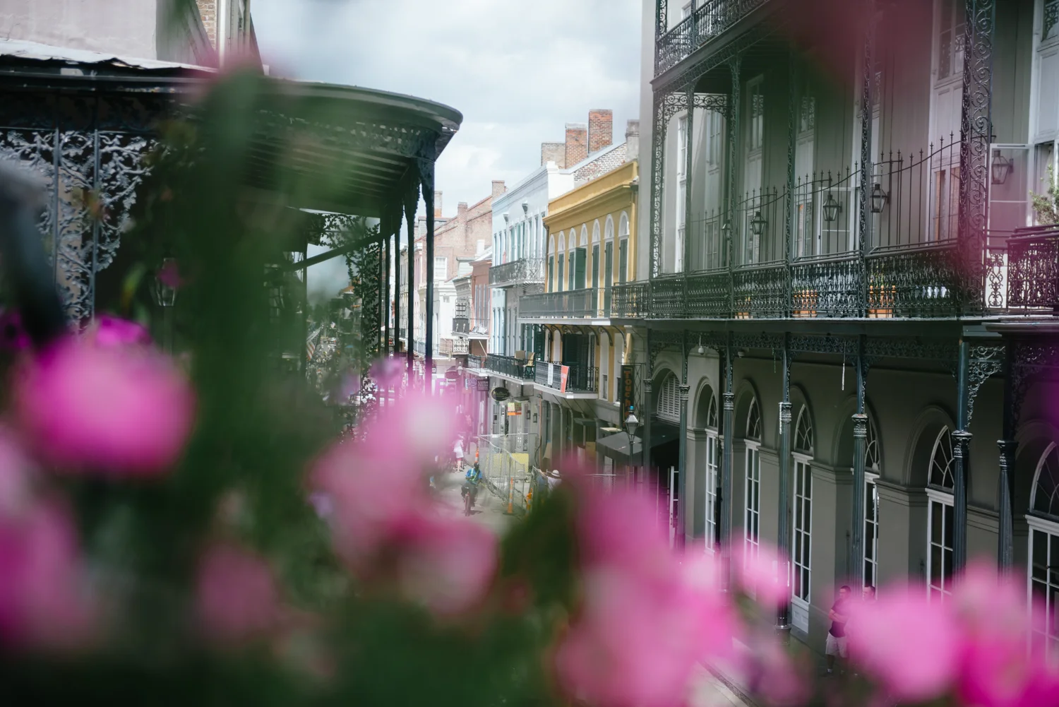new orleans.jpg