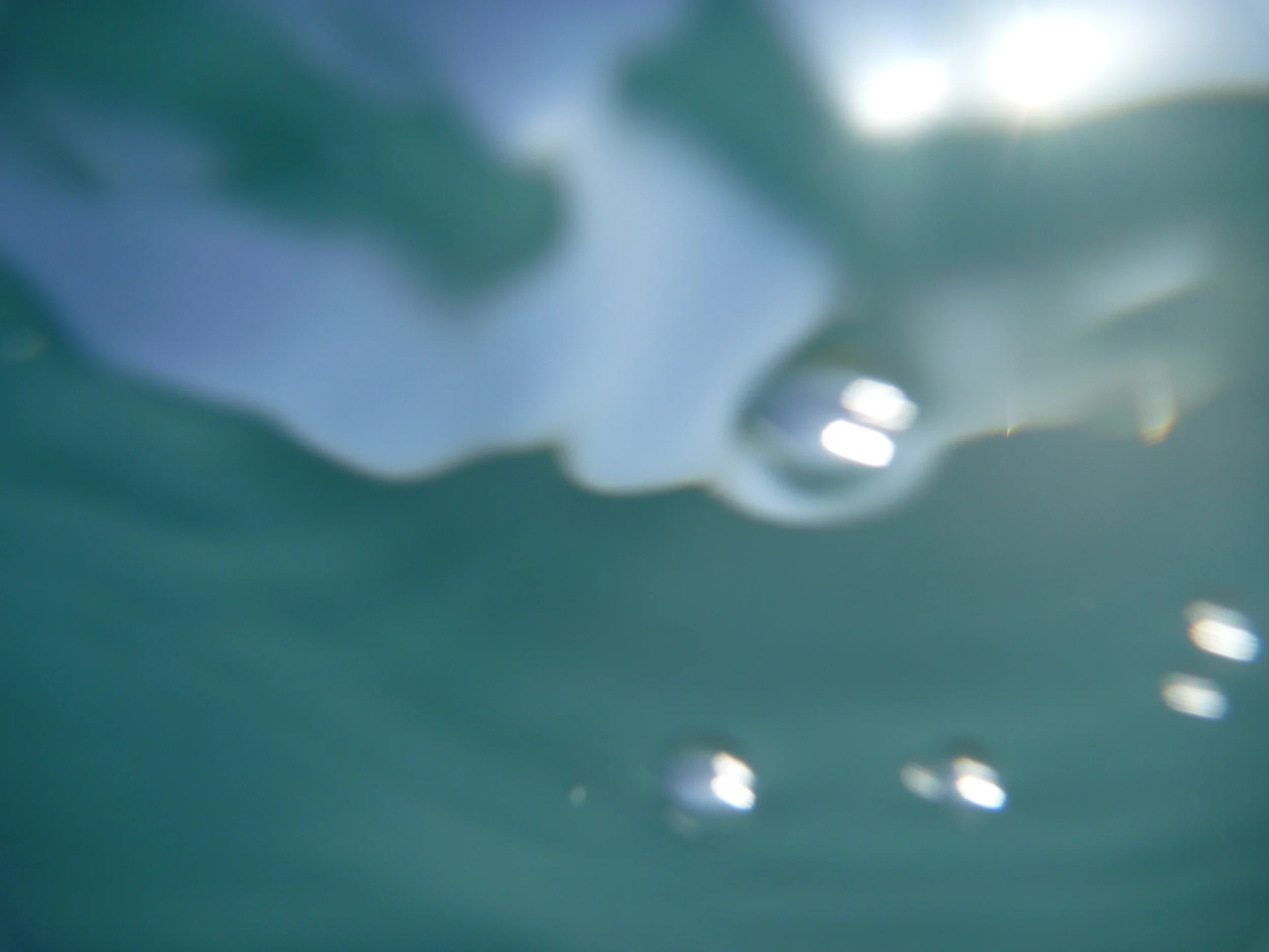 This Swimming Life