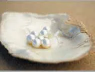 Shell Out: The unlikely story of world class pearl farming in Broome, Western Australia
