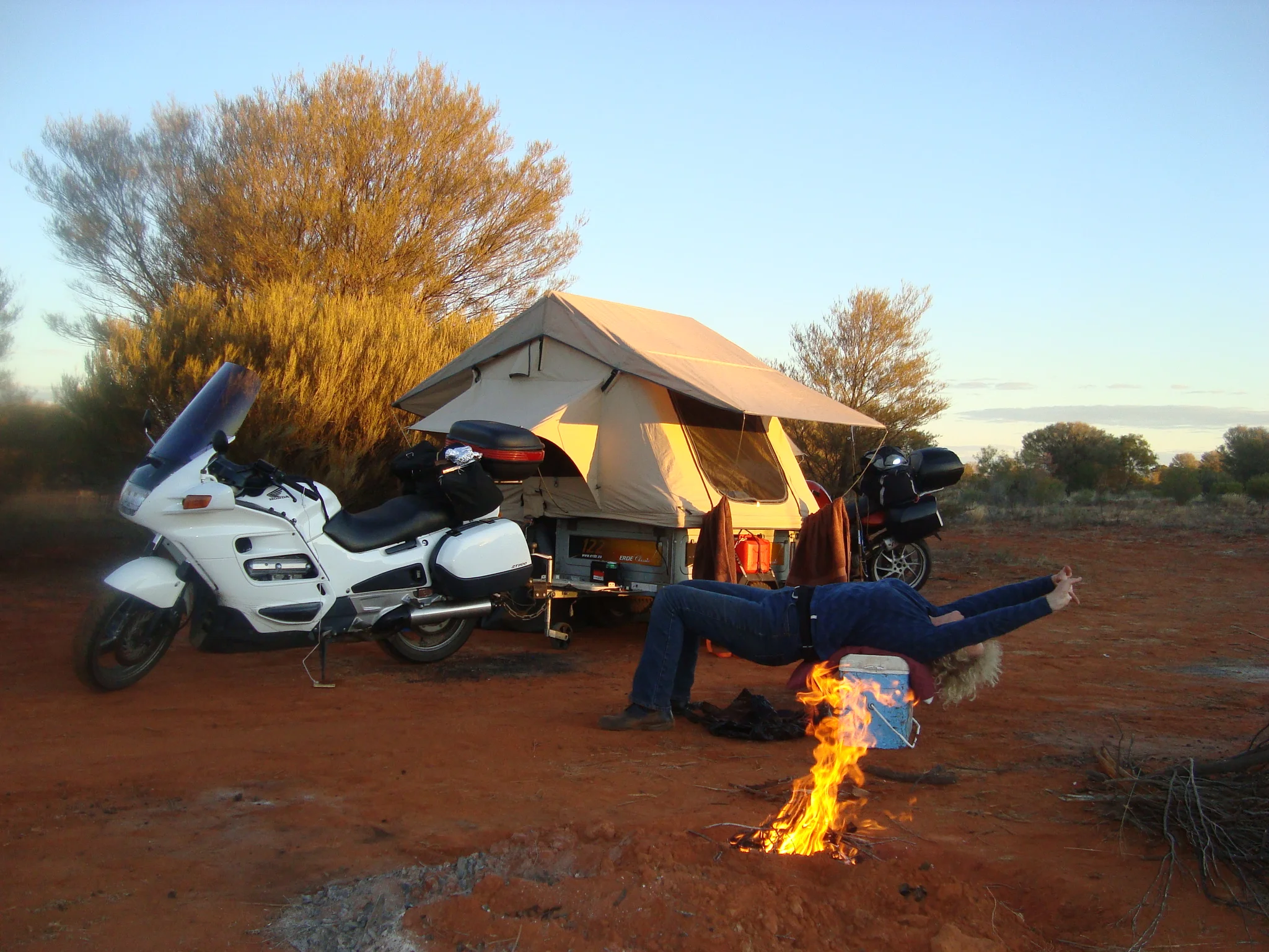 Stretching it out after a long day. Upward dog? Sideways fox? /Lynne Oakes