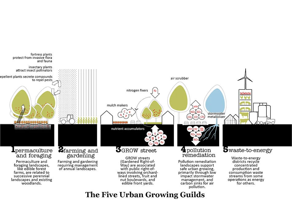 Fayetteville 2030: Food City Scenario Plan