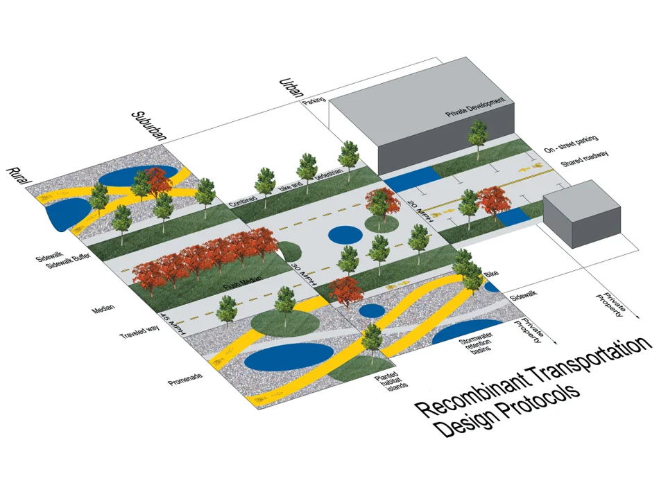 Developing a Highway Ecology
