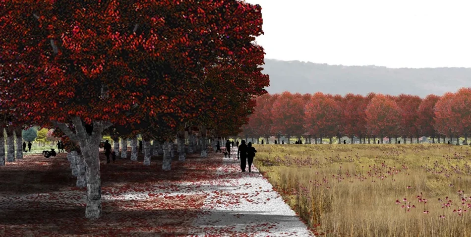 Clearings, Clusters, and Cloisters: A Garden of Trees