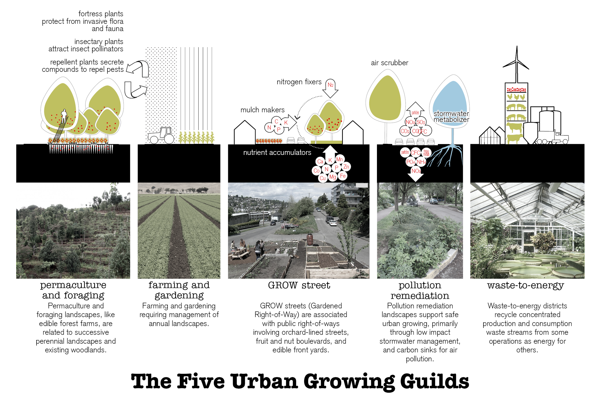 Five Urban Growing Guilds_UPDATE.png