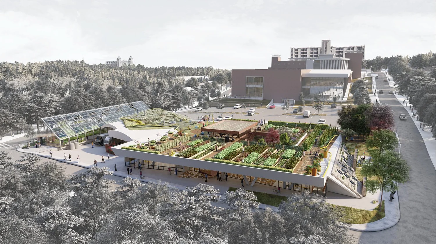 Image showcasing Advanced Vertical Farming Techniques for Urban Living