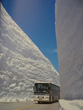 340x_bus-in-winter-reduced.jpg
