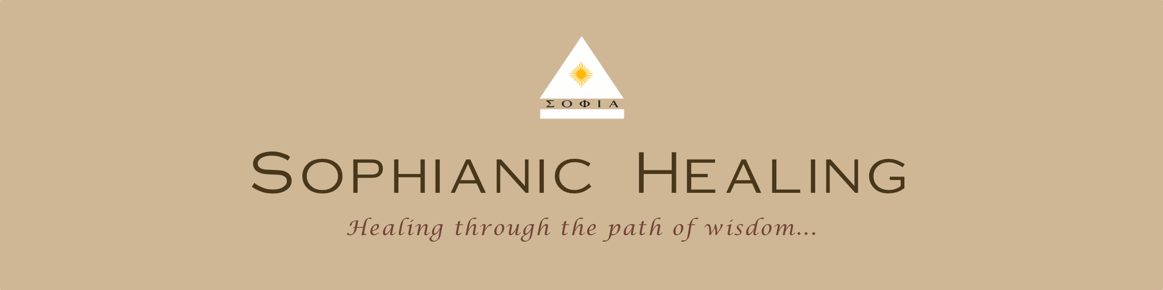 SH Website Header Banner.png