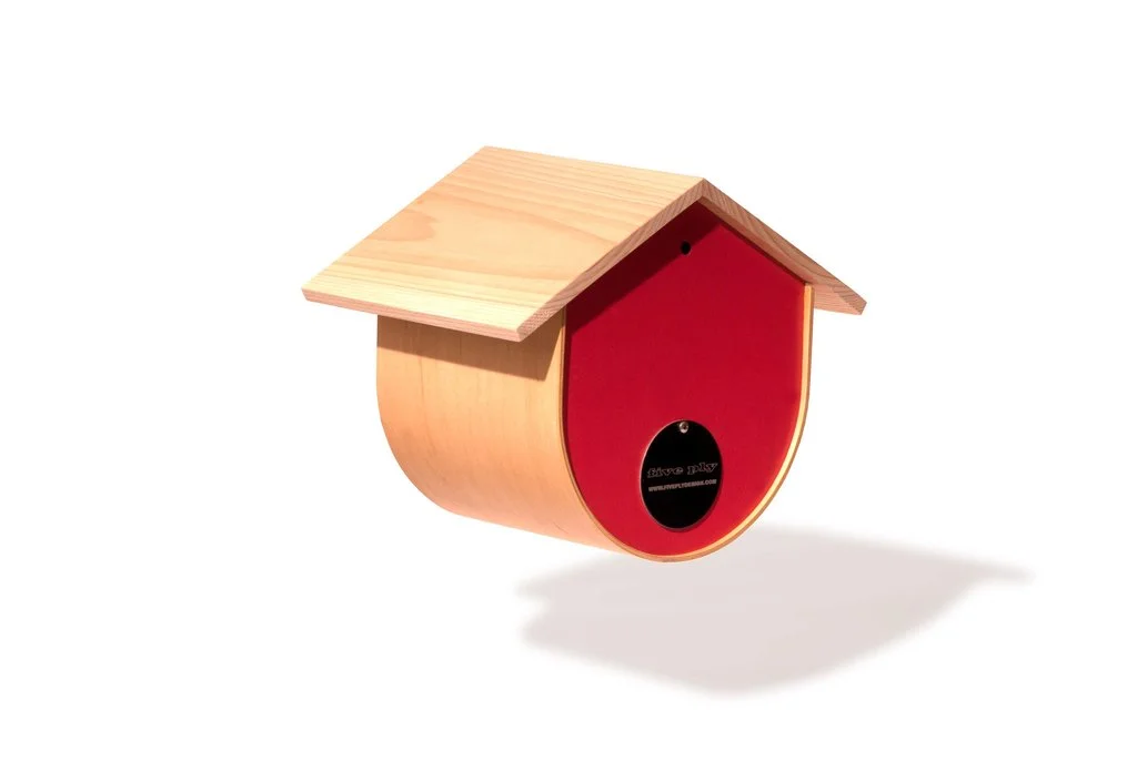 urban bird home back.jpg