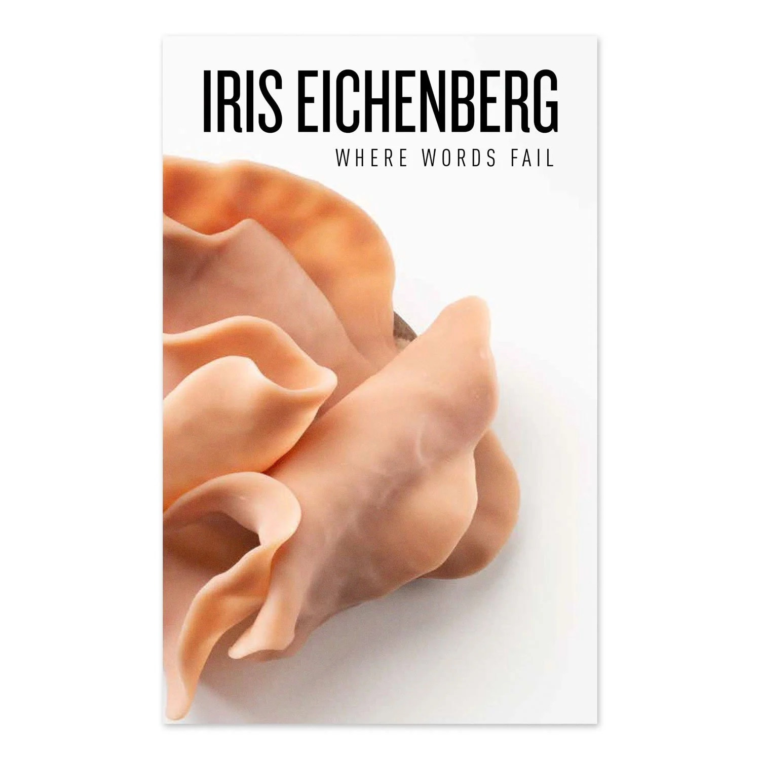 Iris Eichenberg: Where Words Fail Exhibition Catalog
