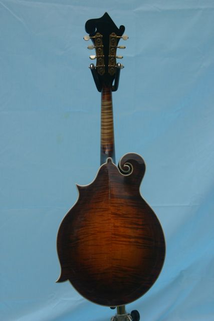 Lloyd Loar Mandolin 87367 back