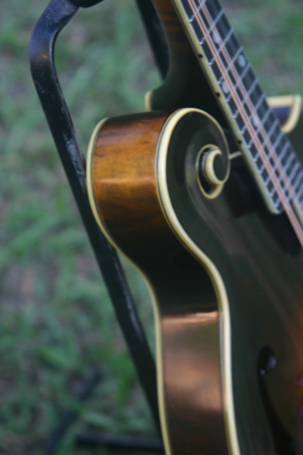 Lloyd Loar Mandolin 73994 sideview