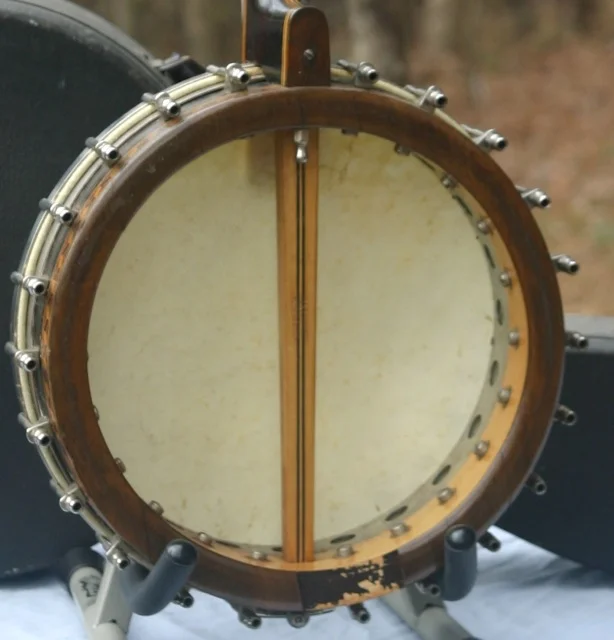 Stewart banjo-mandolin back close up