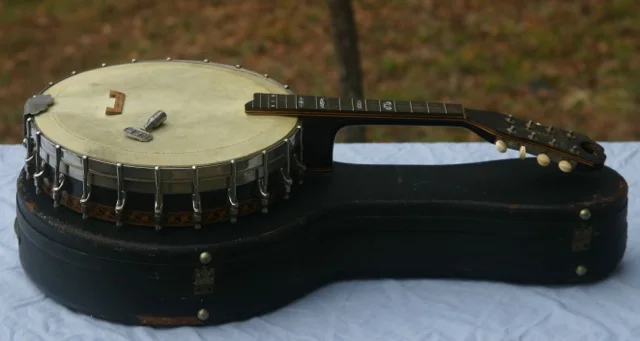 Stewart banjo-mandolin side view