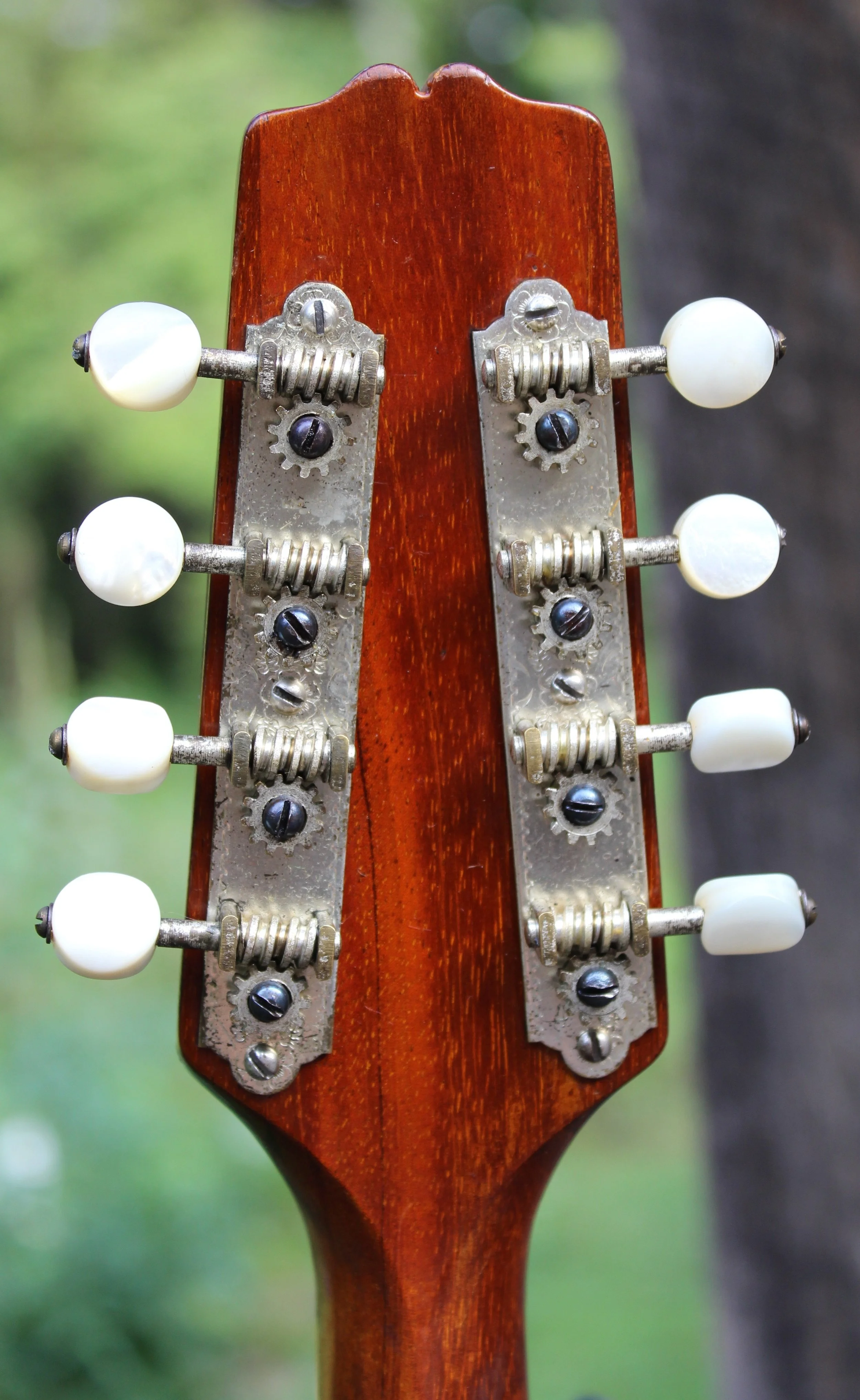 A2Z78968tnrs.jpg