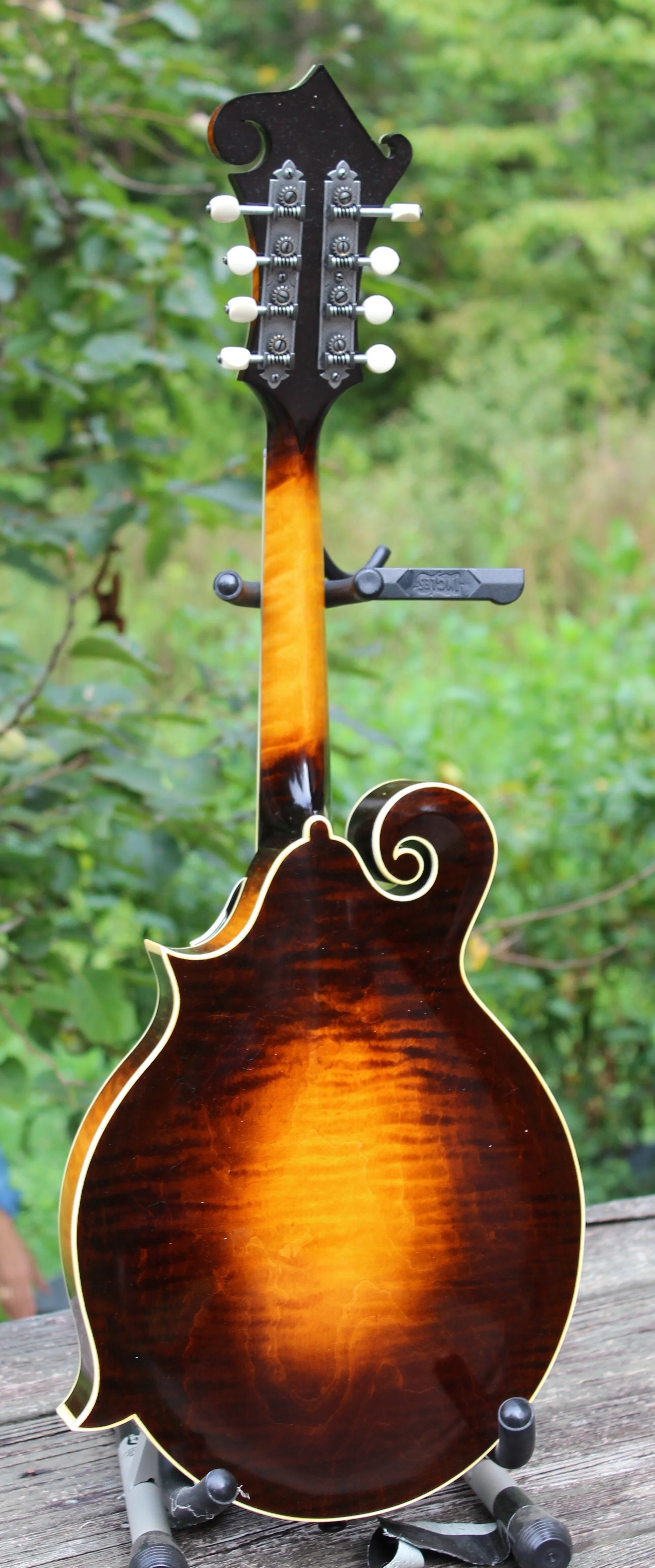 Duf22417bk.jpg