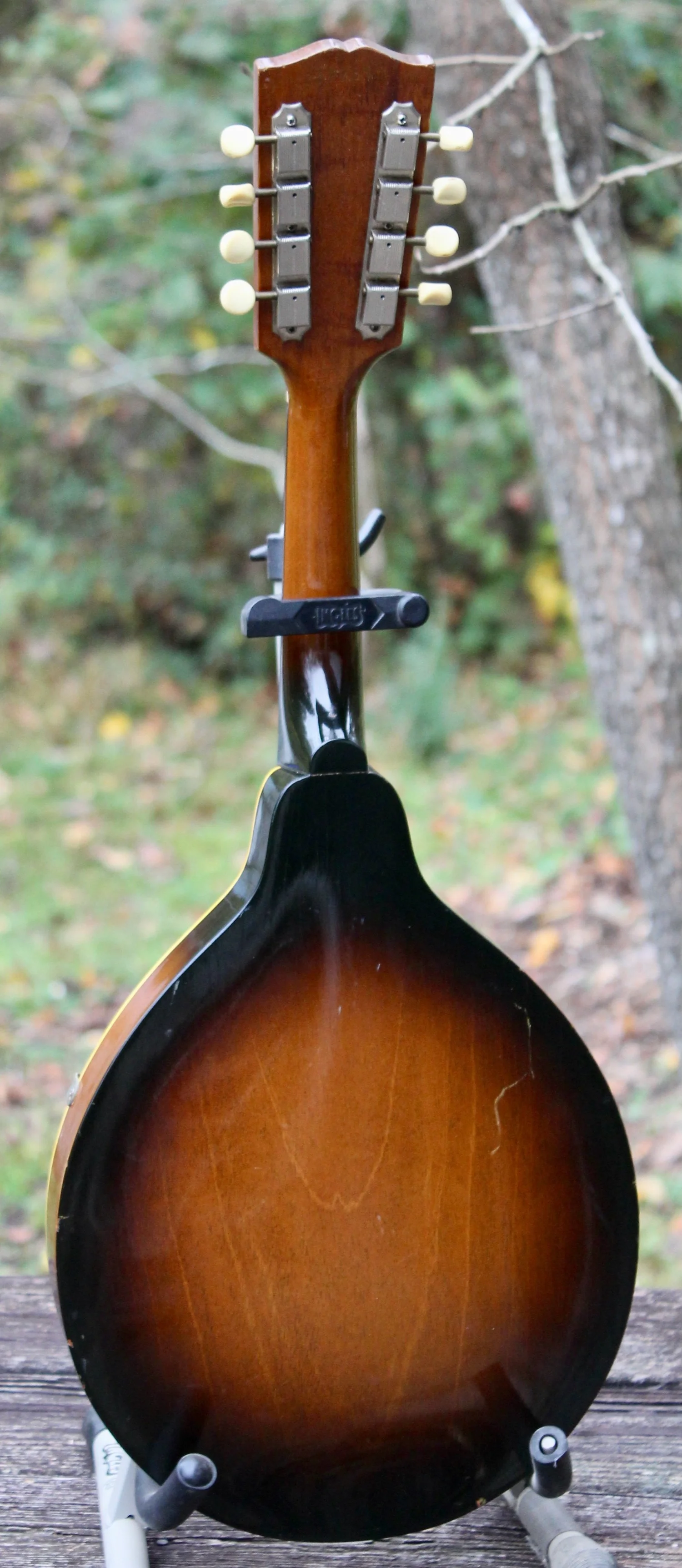 Gibson A40 — Mandolin Central