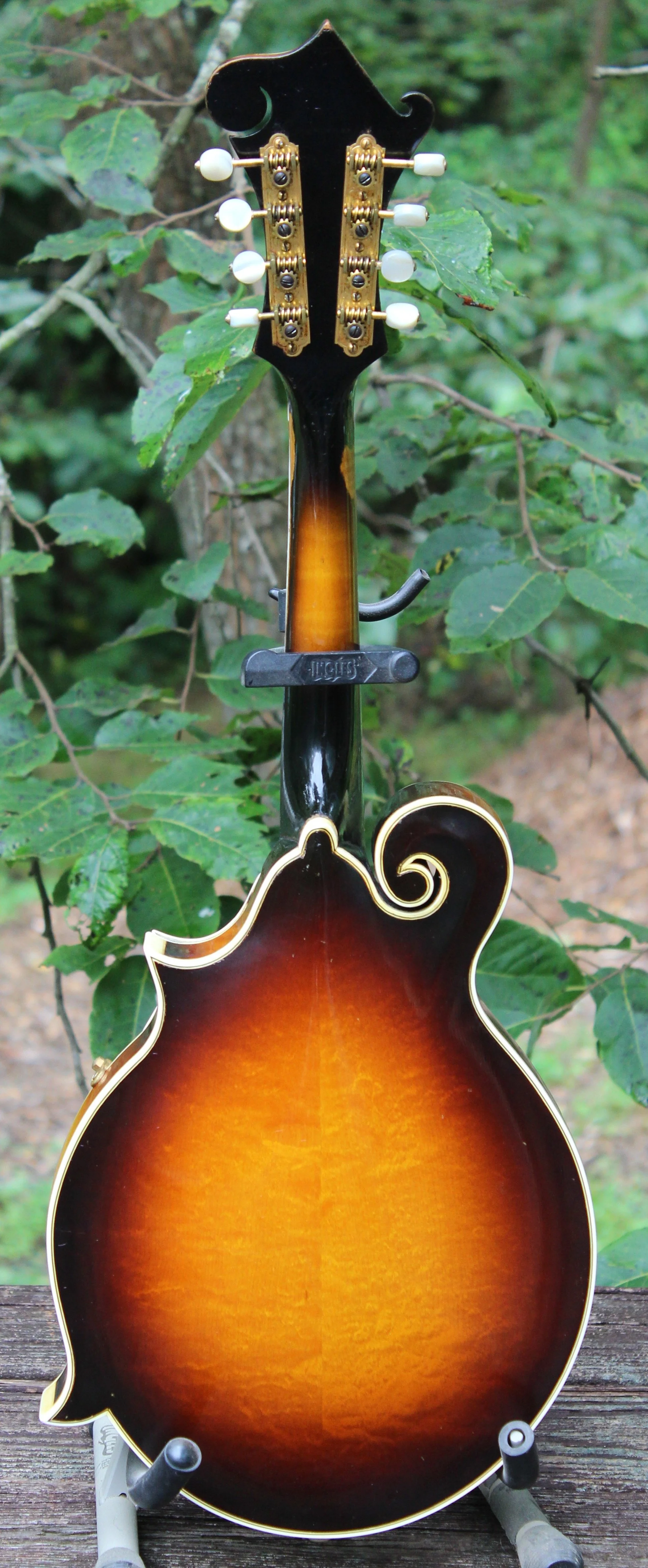 Gibson F5 95334 — Mandolin Central