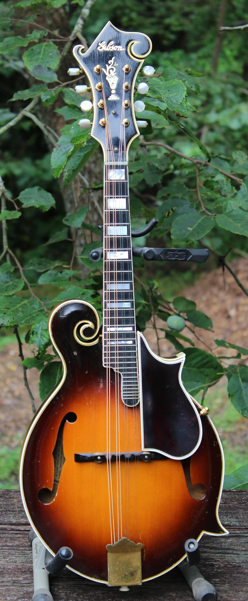 Gibson F5 95334 — Mandolin Central
