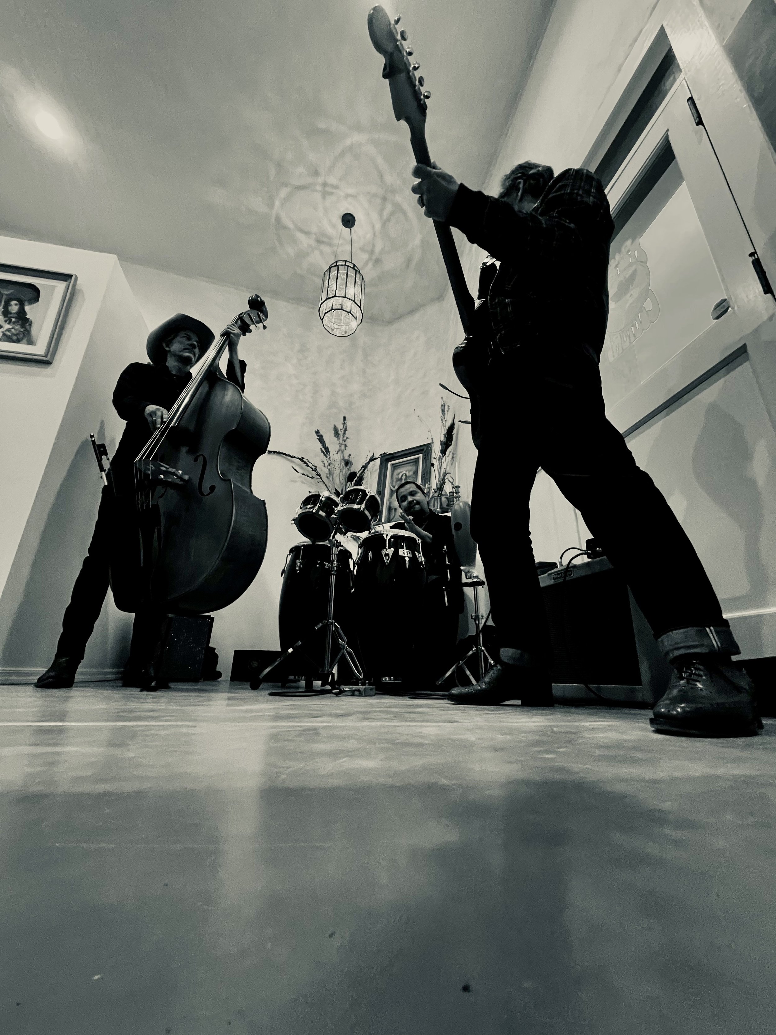 Mambo Cat Trio