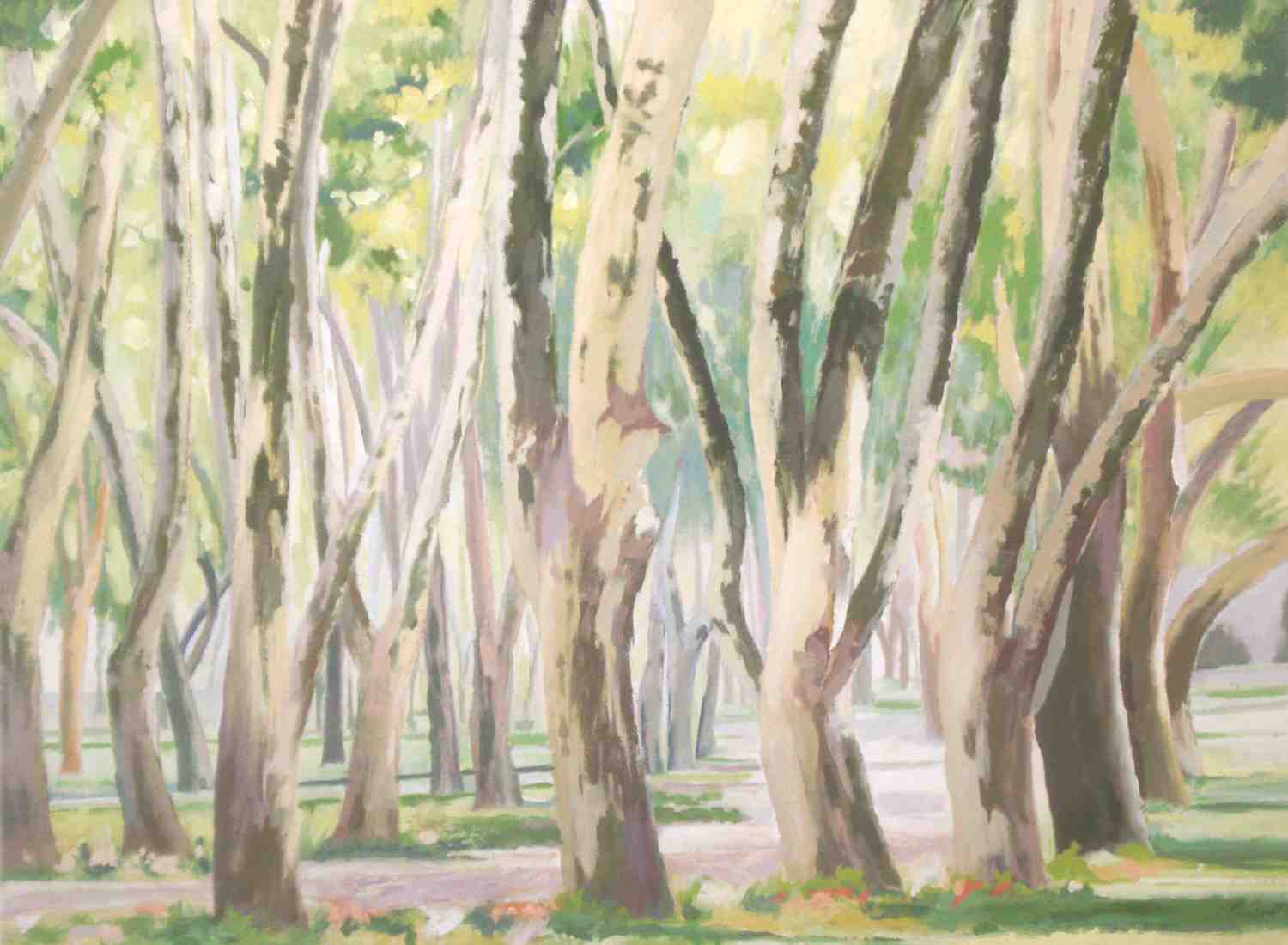Topkapi Palace Grounds #2, 2008, oil on paper, 26x36"