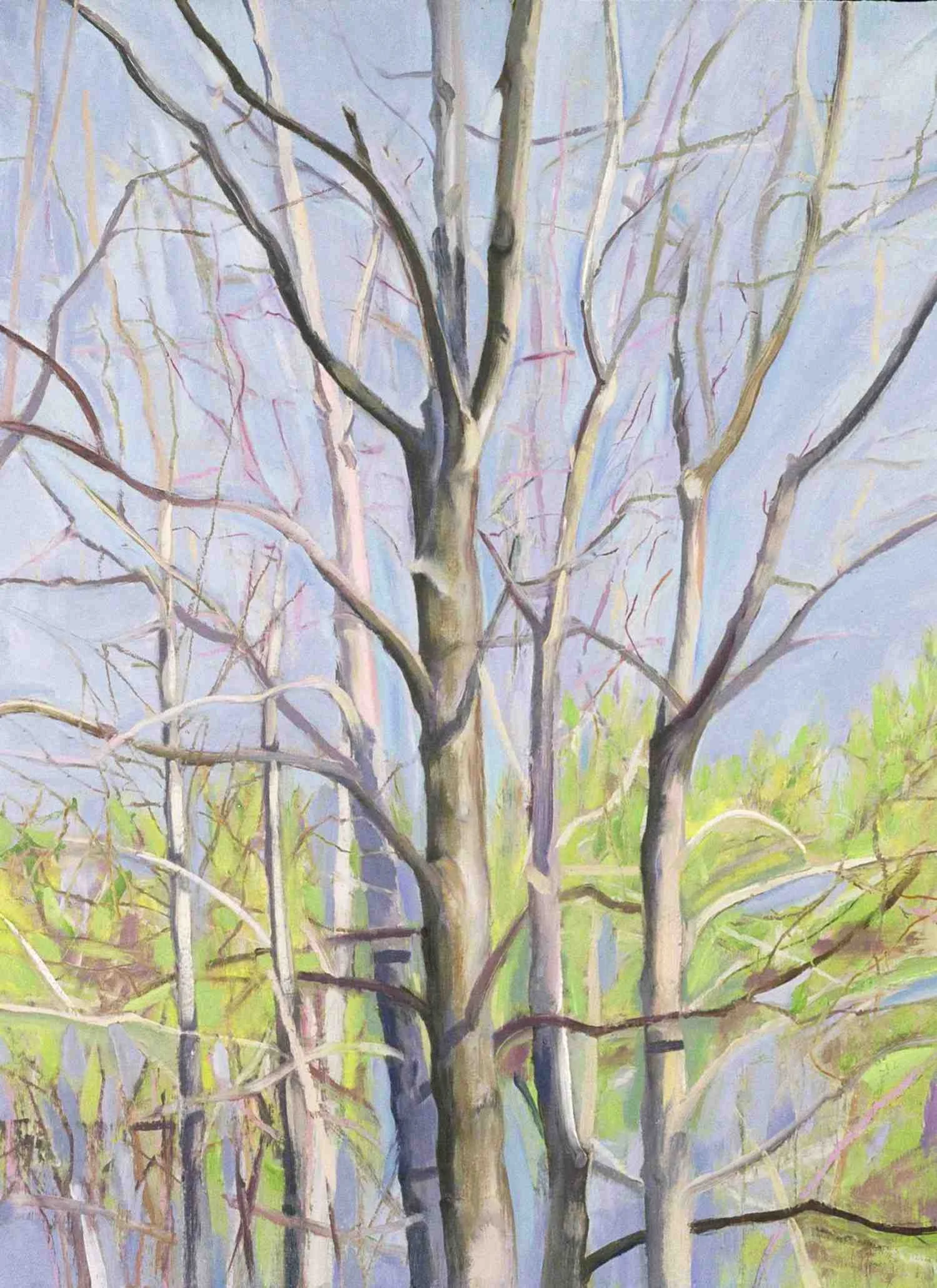 Amagansett Maples, 2001, oil on paper, 30x24"