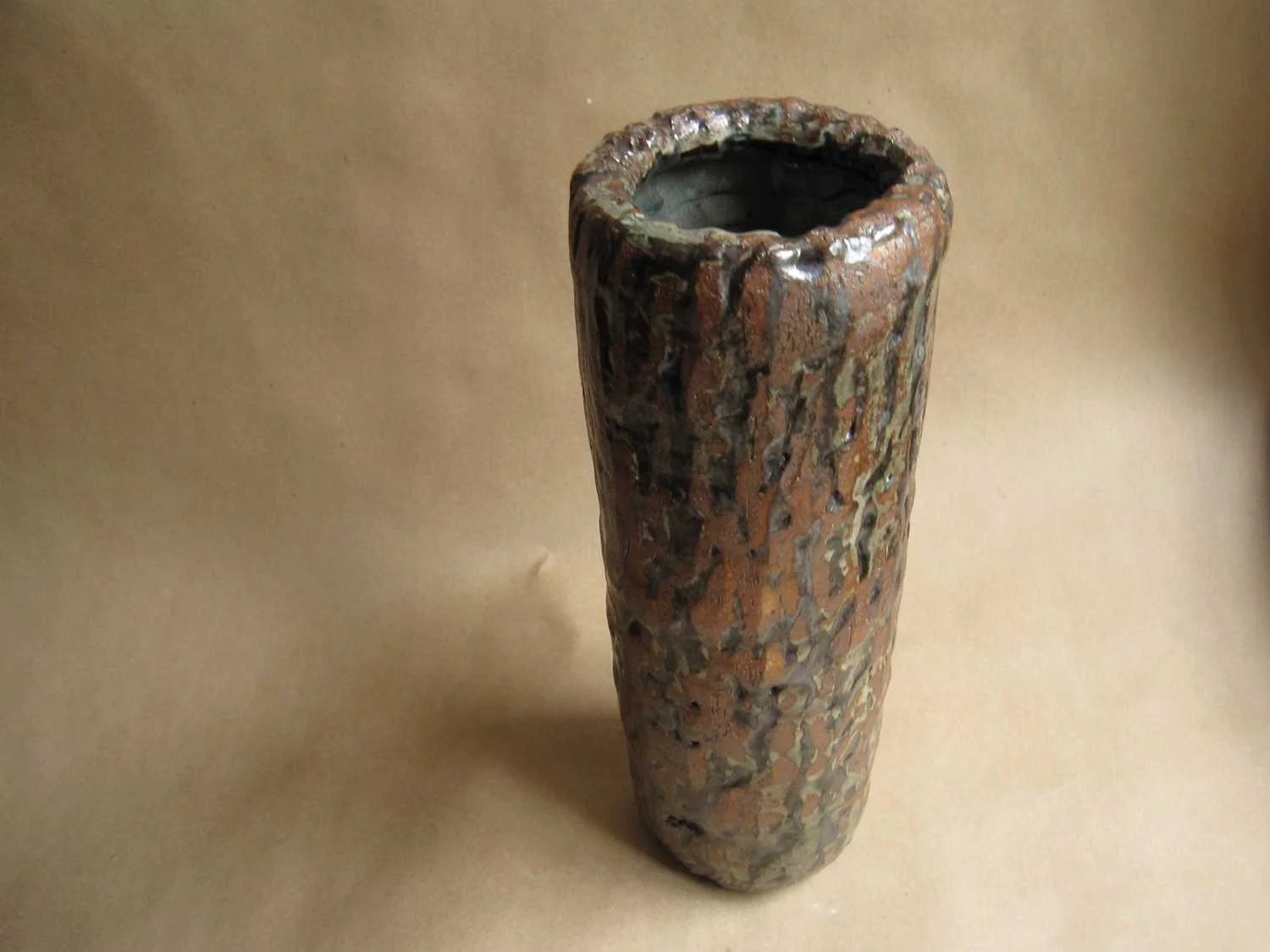 Pinus Strobis, 12x5x5"