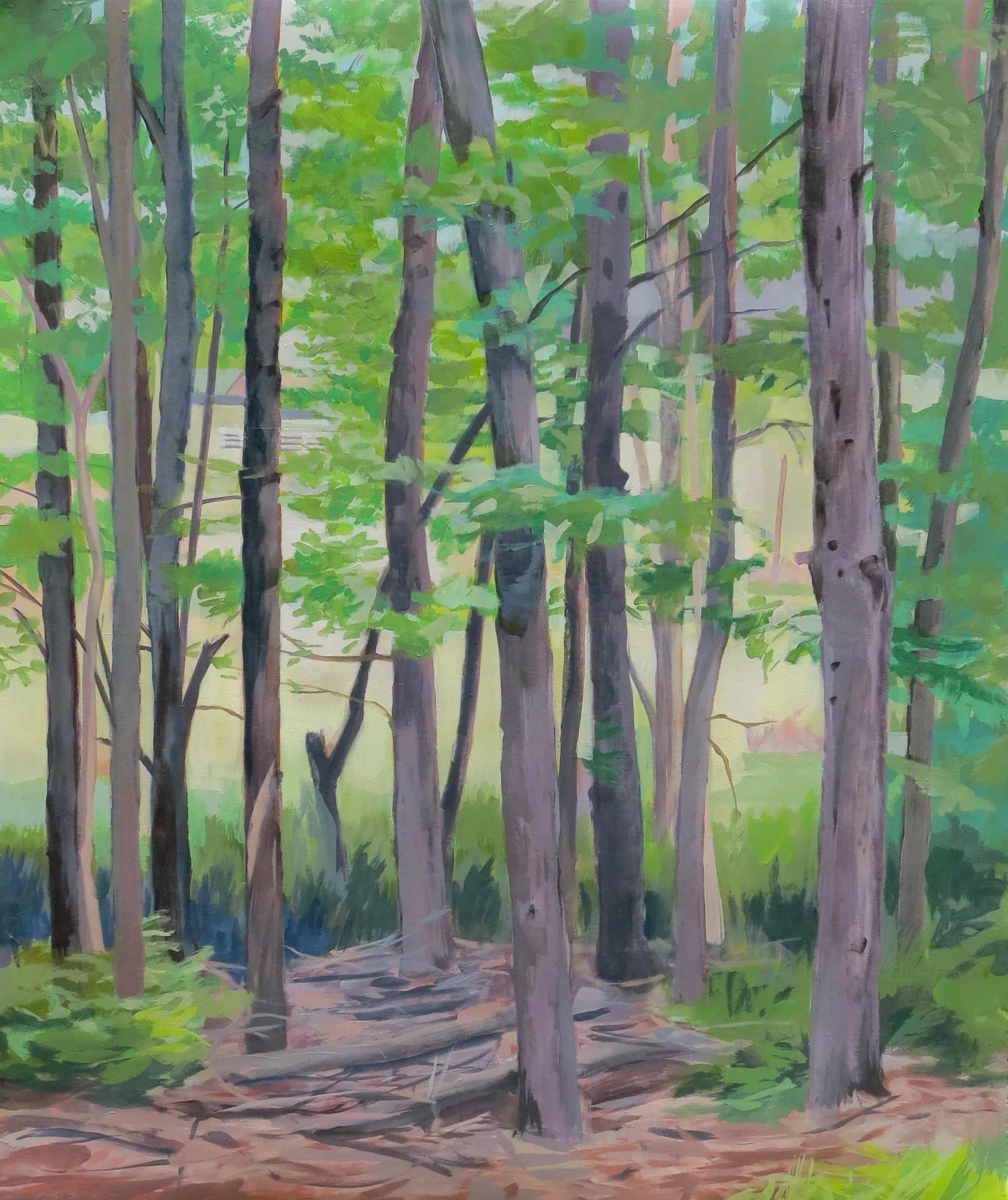 Light Through the Trees 1, 2015, oil on paper, 36x30"