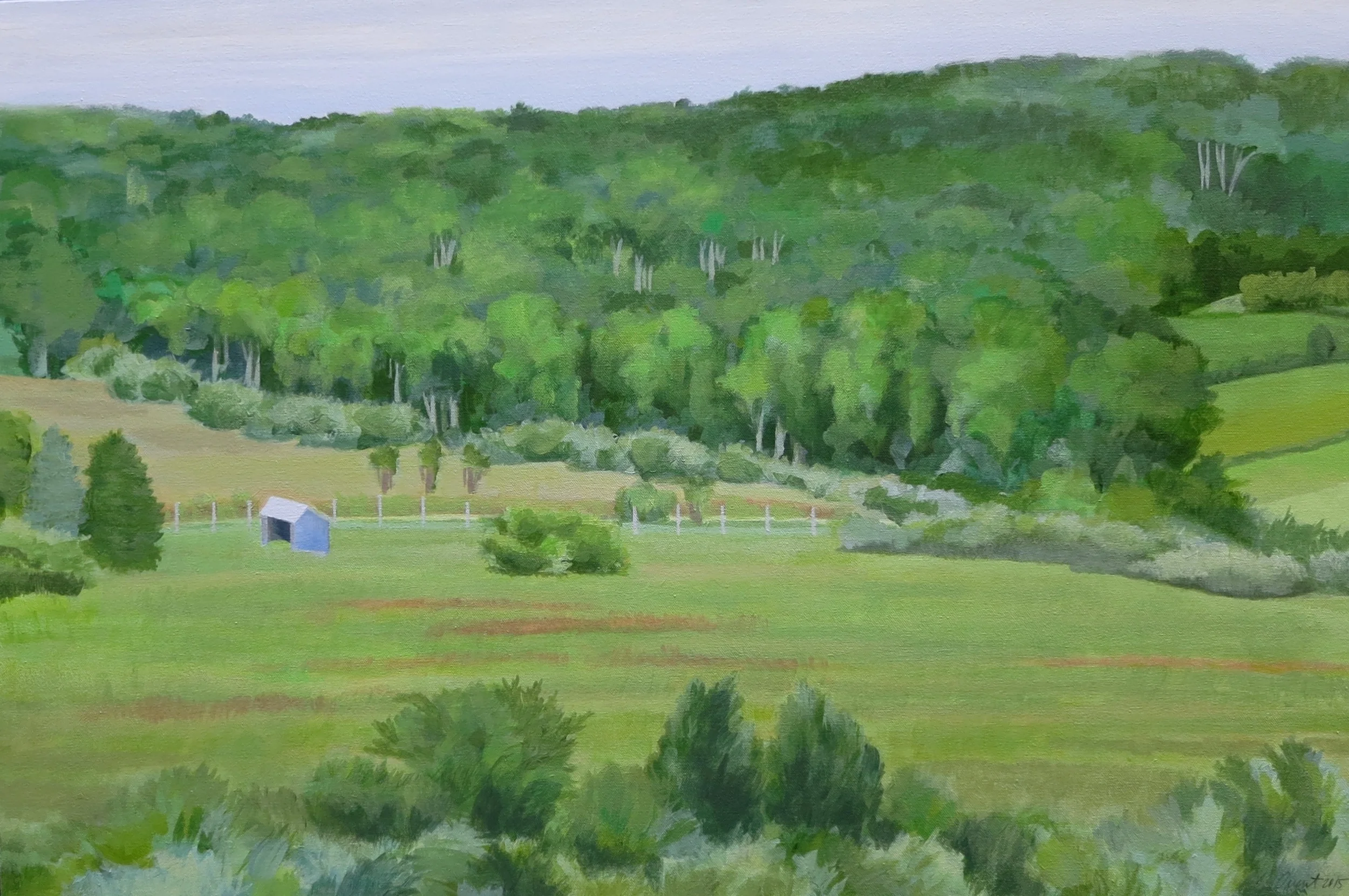 Hillside Tyrell Road 1, 2015, acrylic on canvas, 24x36"