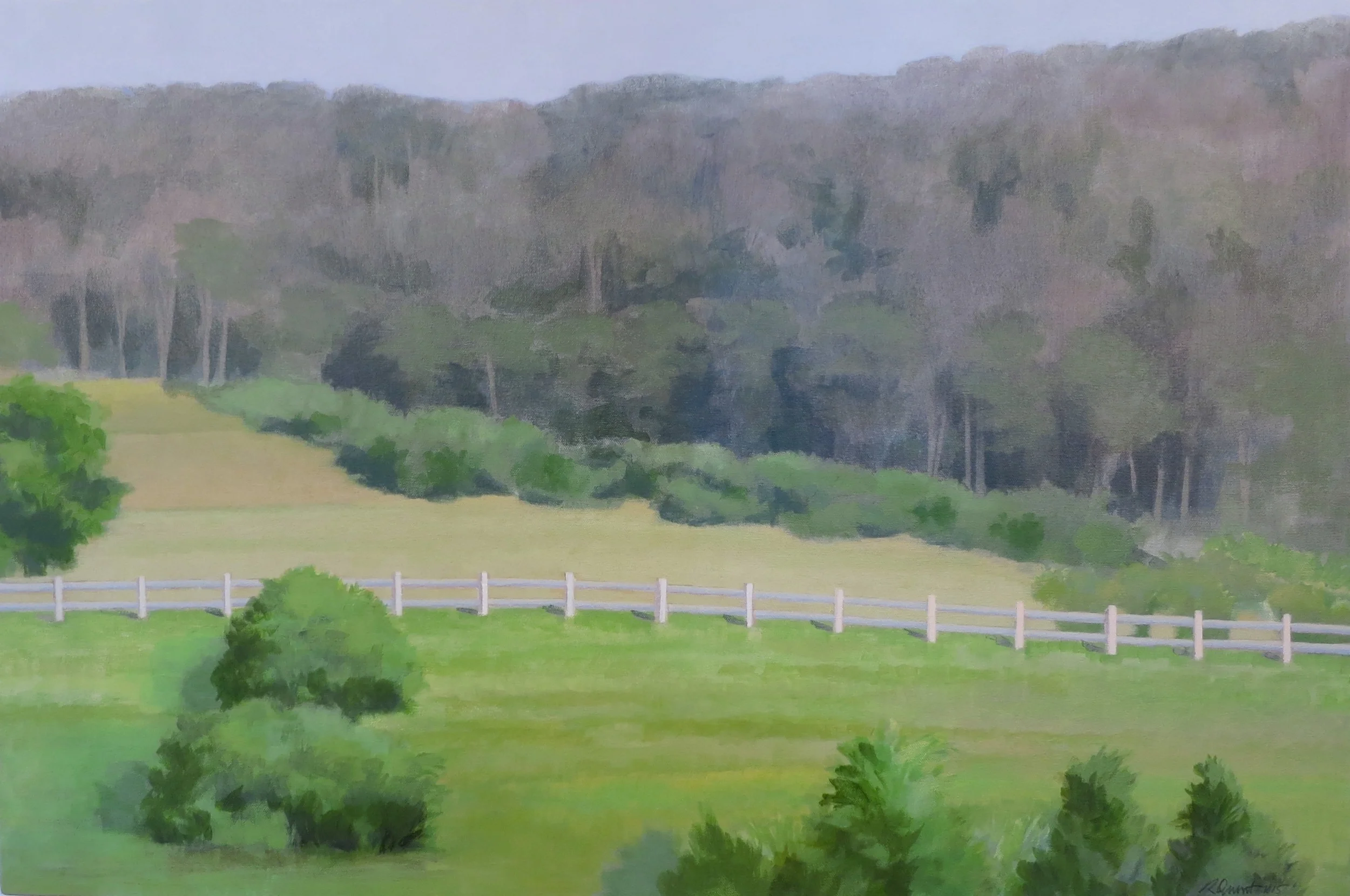Hillside Tyrell Road 2, 2015, acrylic on canvas, 24x36"