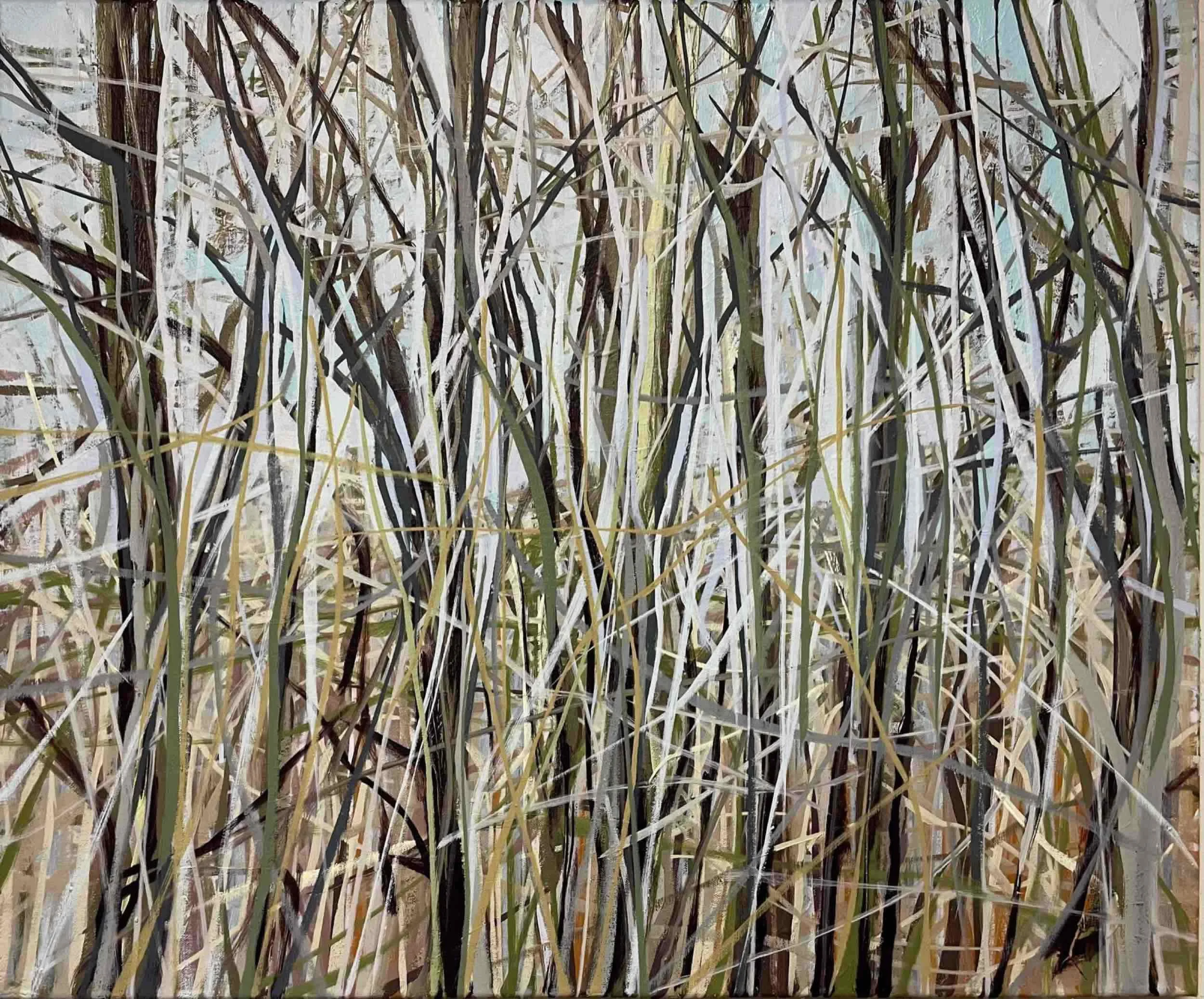 Coastal Trees 1, 2021, oil on canvas, 20x24"