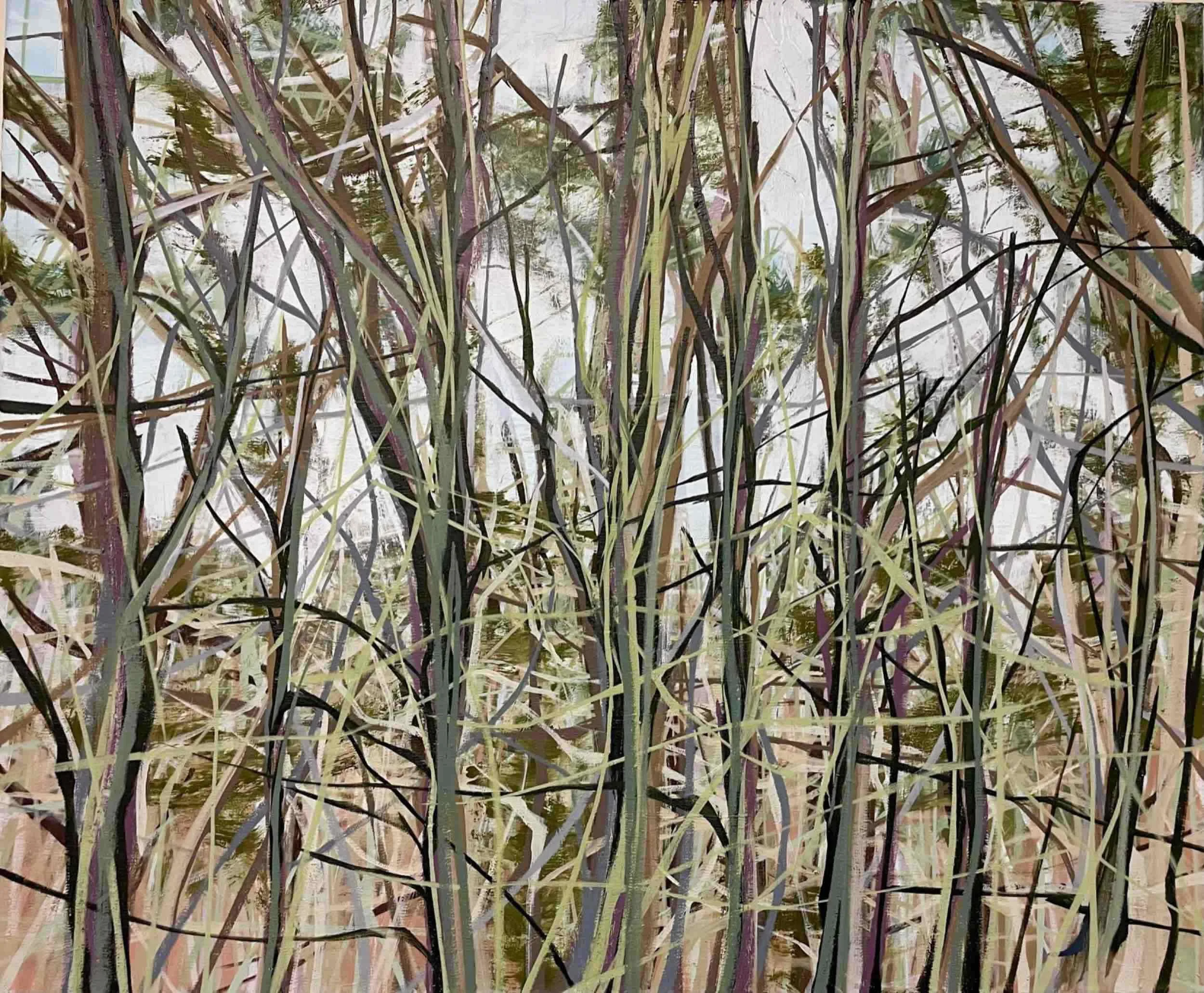 Coastal Trees 2, 2021, oil on canvas, 20x24"